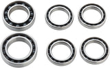 CeramicSpeed Wheel Bearing Upgrade Kit Zipp9 (NSW Hubsets)
