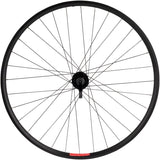 Sta-Tru, X-Track 29er Disc, Wheel, Rear, 29'' / 622, Holes: 32, QR, 135mm, Disc IS 6-bolt, Shimano HG