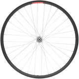 Sta-Tru Double Wall Front Wheel - 24 Bolt-On 3/8 x 100mm Black